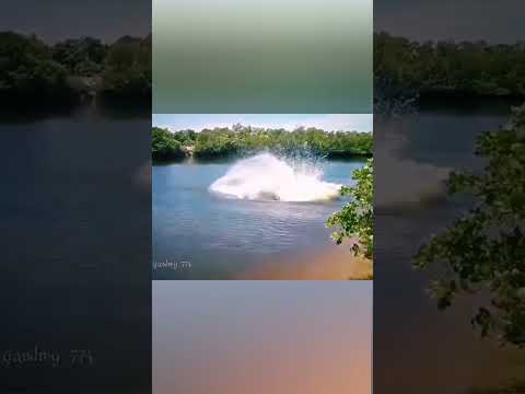 Что это было? 😱 #рыбалка #fishing #река #чудо #рыба #русалка #рыбак #снасти #монстр #щука #спиннинг