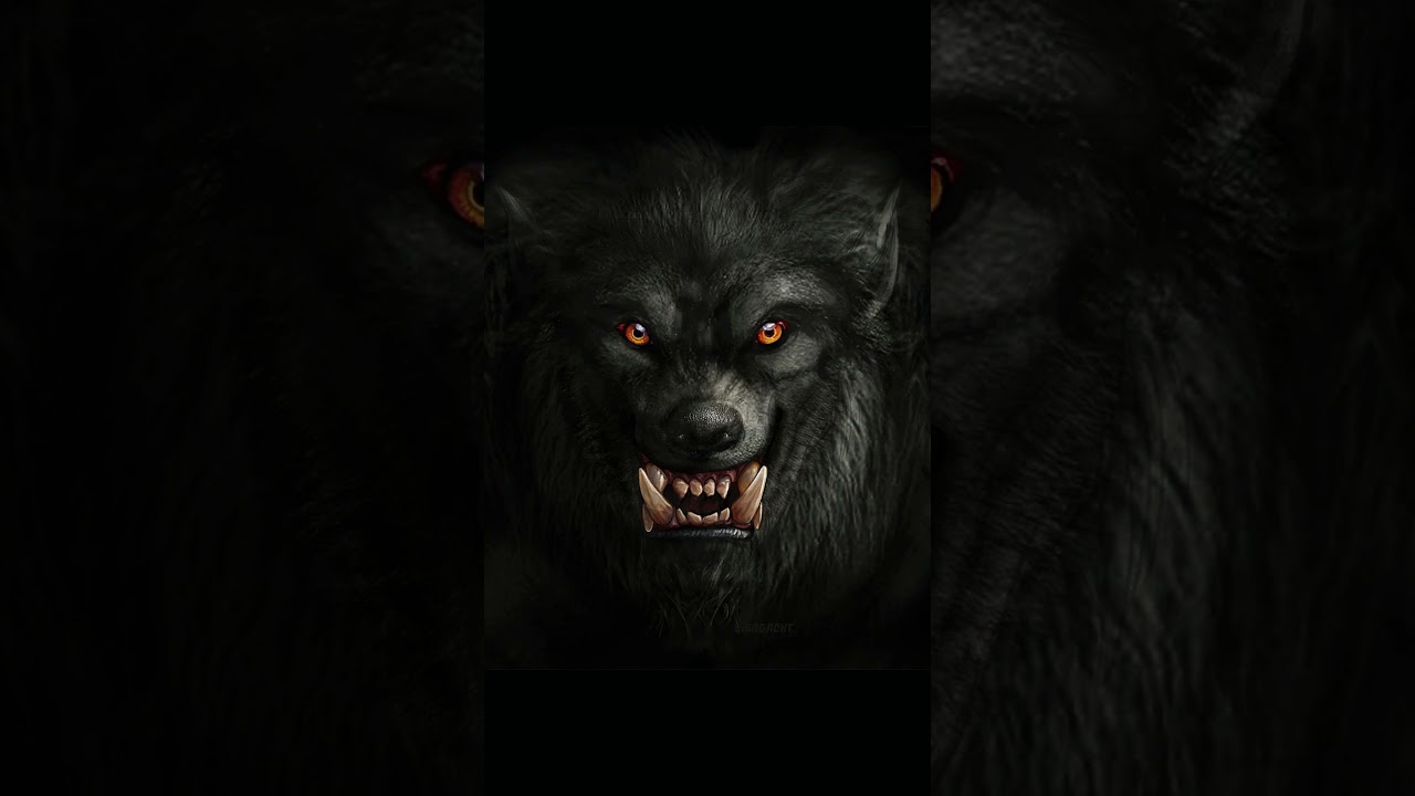 Werewolf Growl & Howling Sound Effects ๐ง