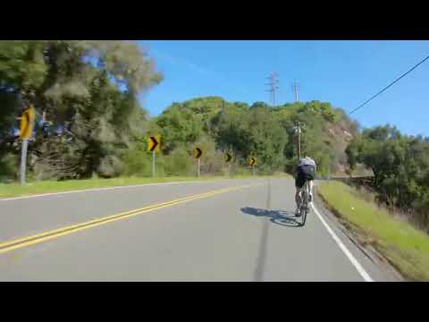 Compare 51424: Key Insights