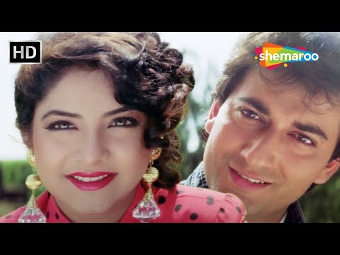Tujhse Mujhe Pyar Tha Pyar Hai | Geet (1992) | Avinash | Divya Bharti | 90s Love Song | Alka Yagnik