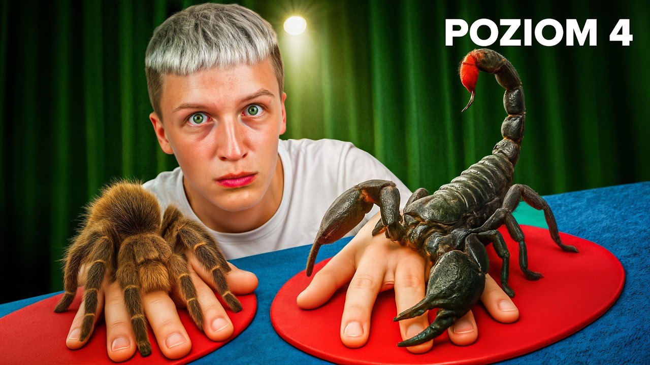 Rusz Ręką, Wygrasz! 🎯 Codzienny Film o 17:30 – Nie Przegap!