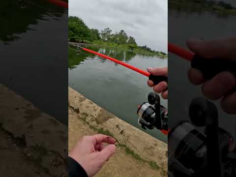 How To Cast A Spinning Reel (For Beginners)