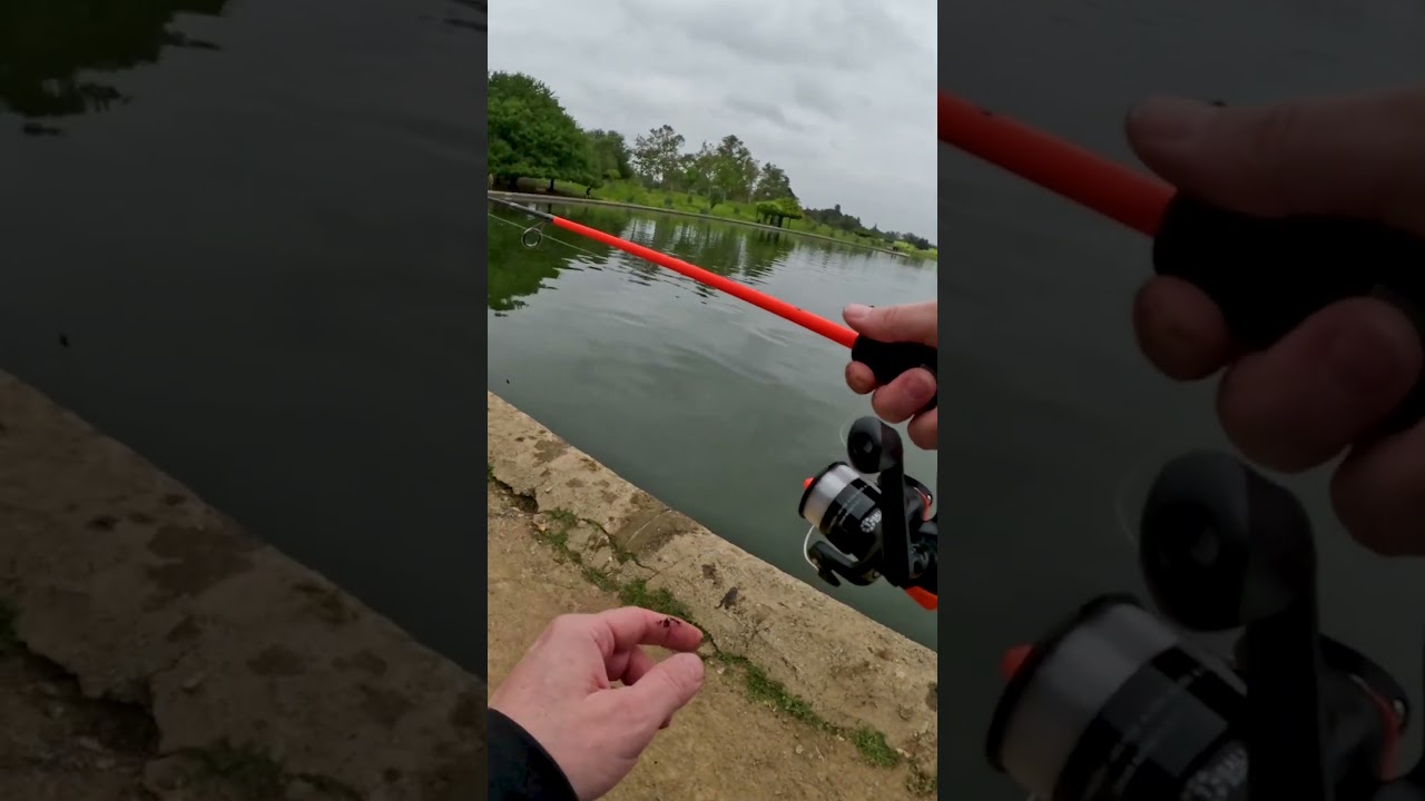 Master the Art of Casting a Spinning Reel: Easy Tips for Beginners 🎣