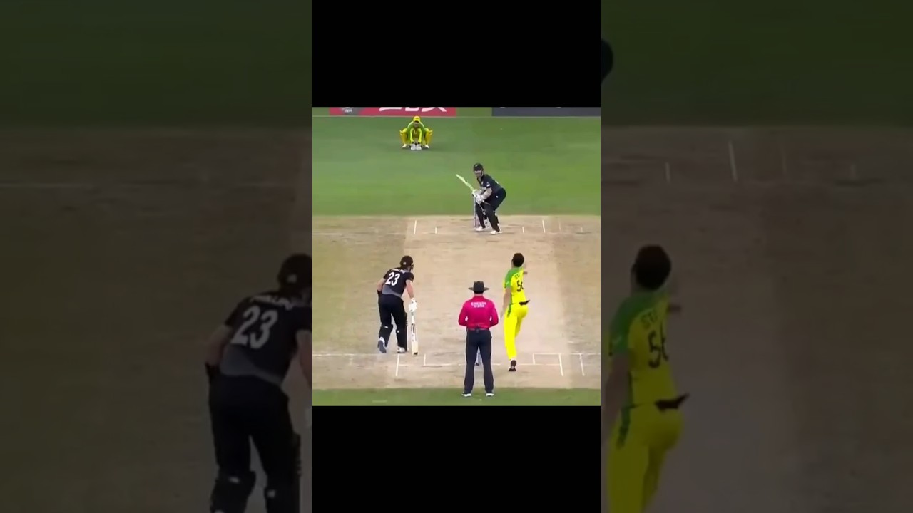 Starc vs Kane Williamson: 25 Runs Hit! ⚡