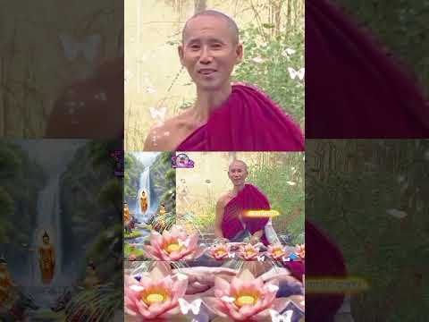 Thầy Minh Tuệ🙏chia sẻ Phật Pháp Tâm không lay động, câu trả lời sò lông ngắn mà thấm.8 #thayminhtue