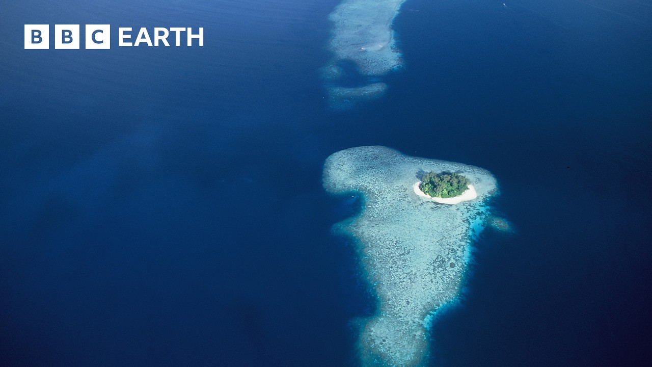 Exploring the Enigmatic Islands of the South Pacific | BBC Earth