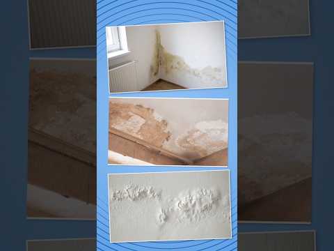 Waterproofing in House Construction🔥 | Methods & Importance