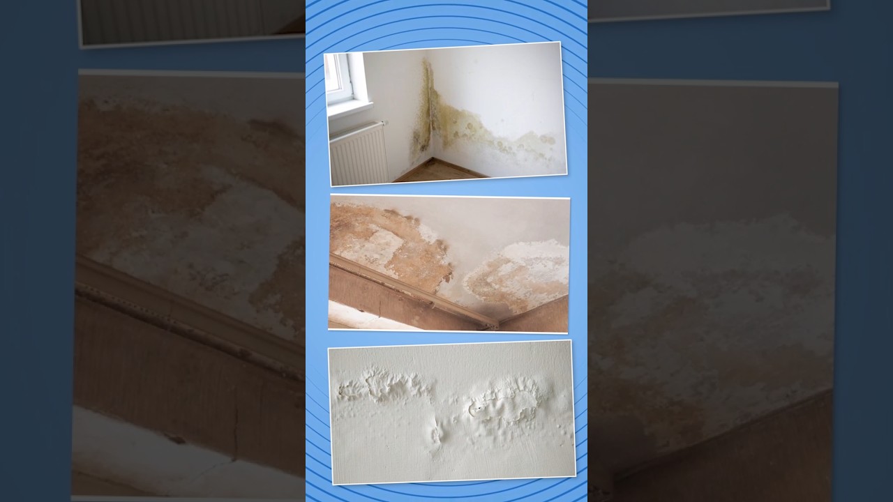 Essential Waterproofing Techniques for Durable House Construction 🏠