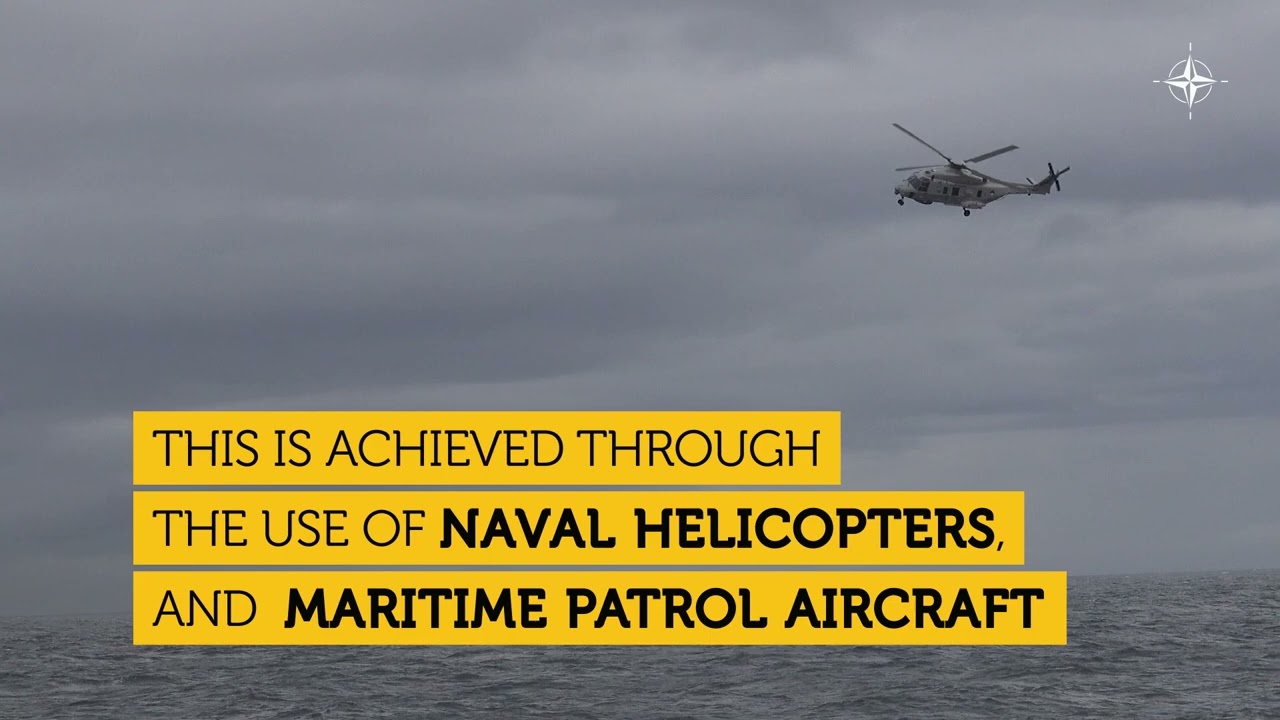 Exercise DYNAMIC MONGOOSE 22