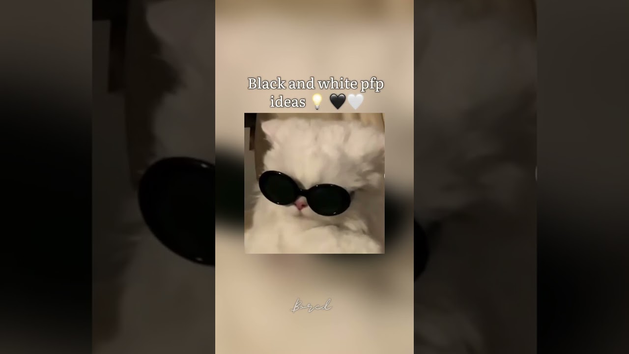 Black & White Profile Pic Ideas 🖤🤍