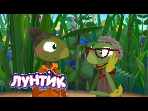 Лунтик | Новые бабули | Мультики для детей