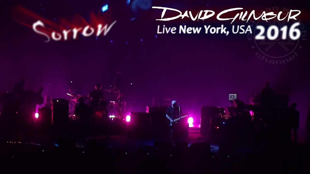 David Gilmour Performs 'Sorrow' in NYC 2016 🎸