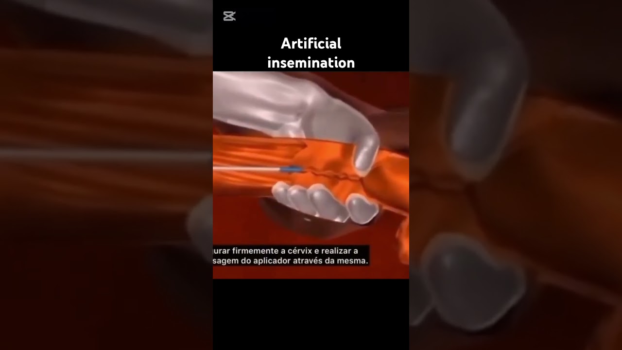 Cow Artificial Insemination ๐