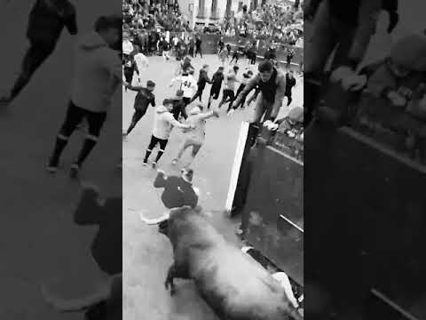 😱 TREMENDA COGIDA CIUDAD RODRIGO (ESPAÑA) 2024