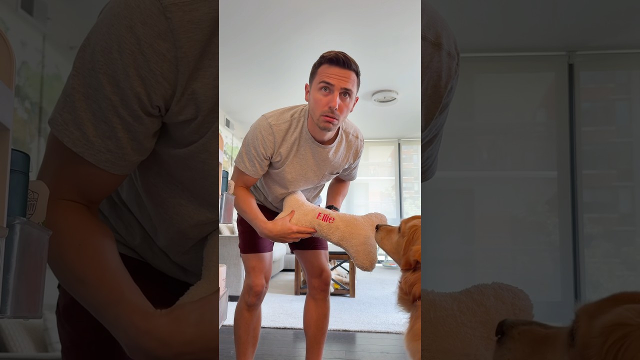 Who Do You See? 👀