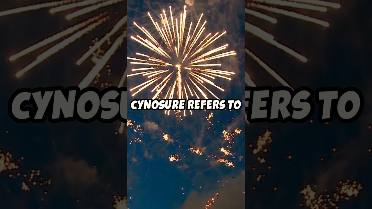 Cynosure: Definition & Vocabulary 📚