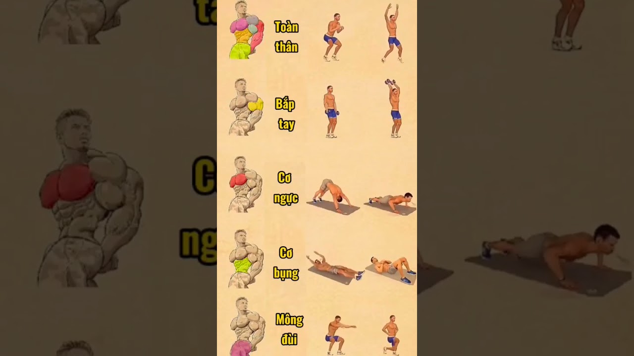 Top 5+ Bài Tập Fullbody Giúp Nam Cơ Bắp Rực Rỡ 💪
