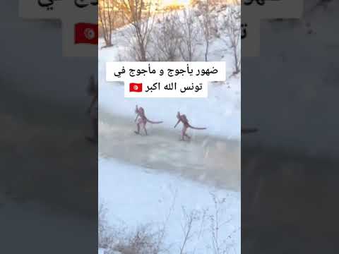 ظهور يشبه يأجوج ومأجوج في تونس 🐉
