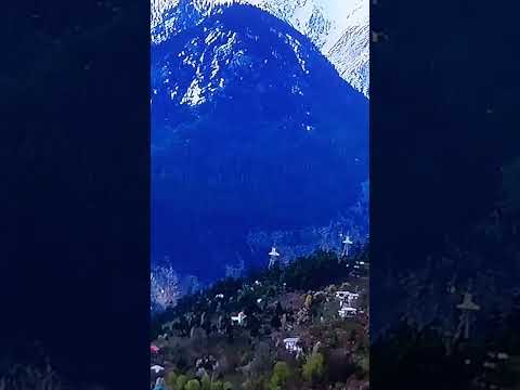 Gurkirtan #viral #trending #youtubeshorts #gurbani #kirtan