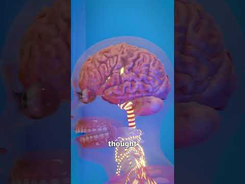 What Happens When You Touch A Hot Stove? 🤔