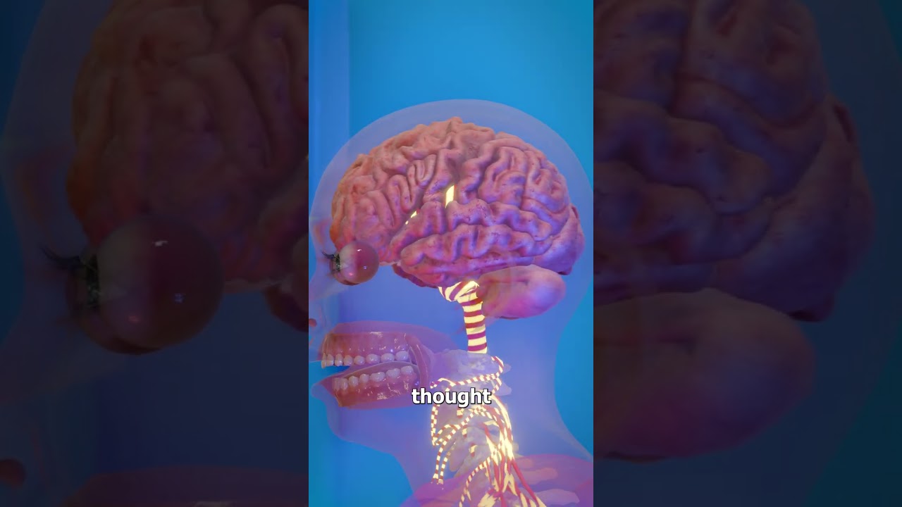 What Happens When You Touch a Hot Stove? 🔥