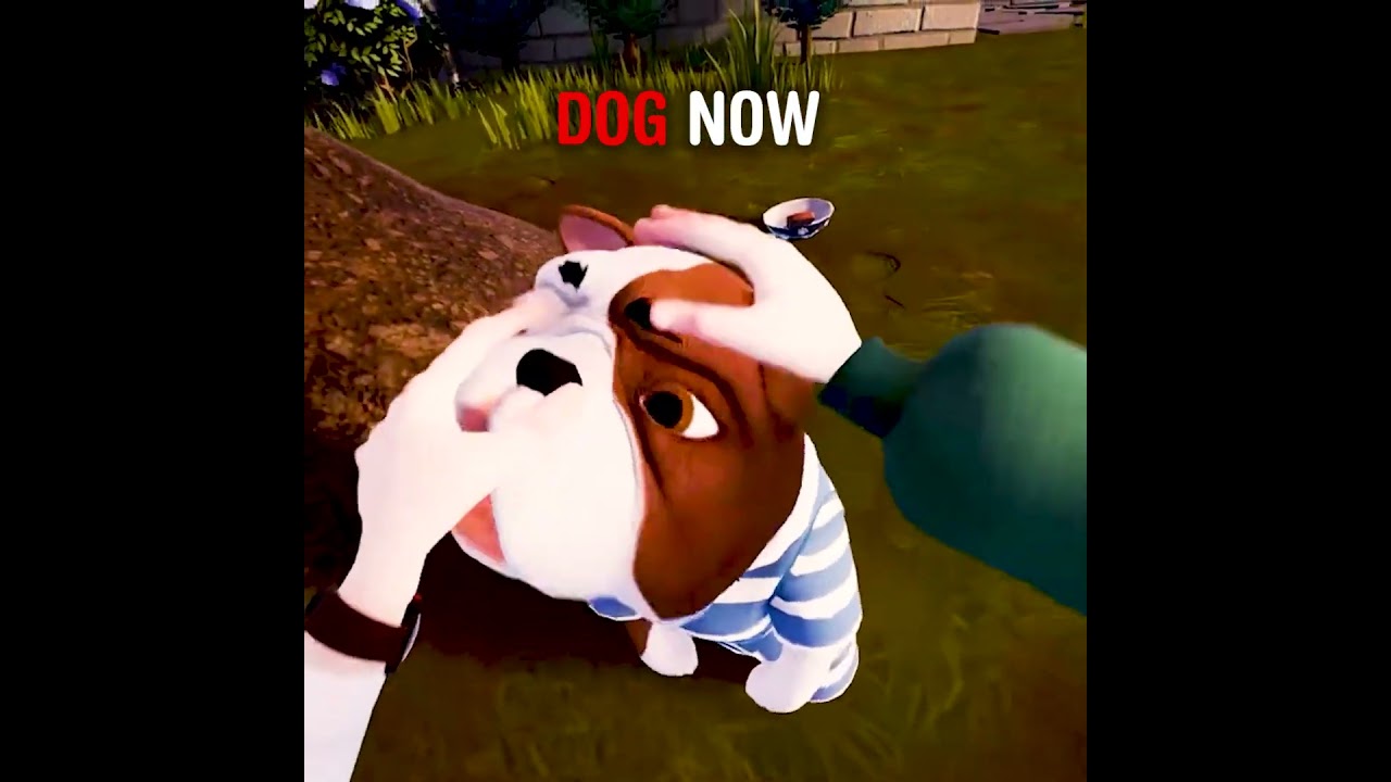 Hello Neighbor 2: Dogs & Animations Then vs Now ๐ถ๐ฌ