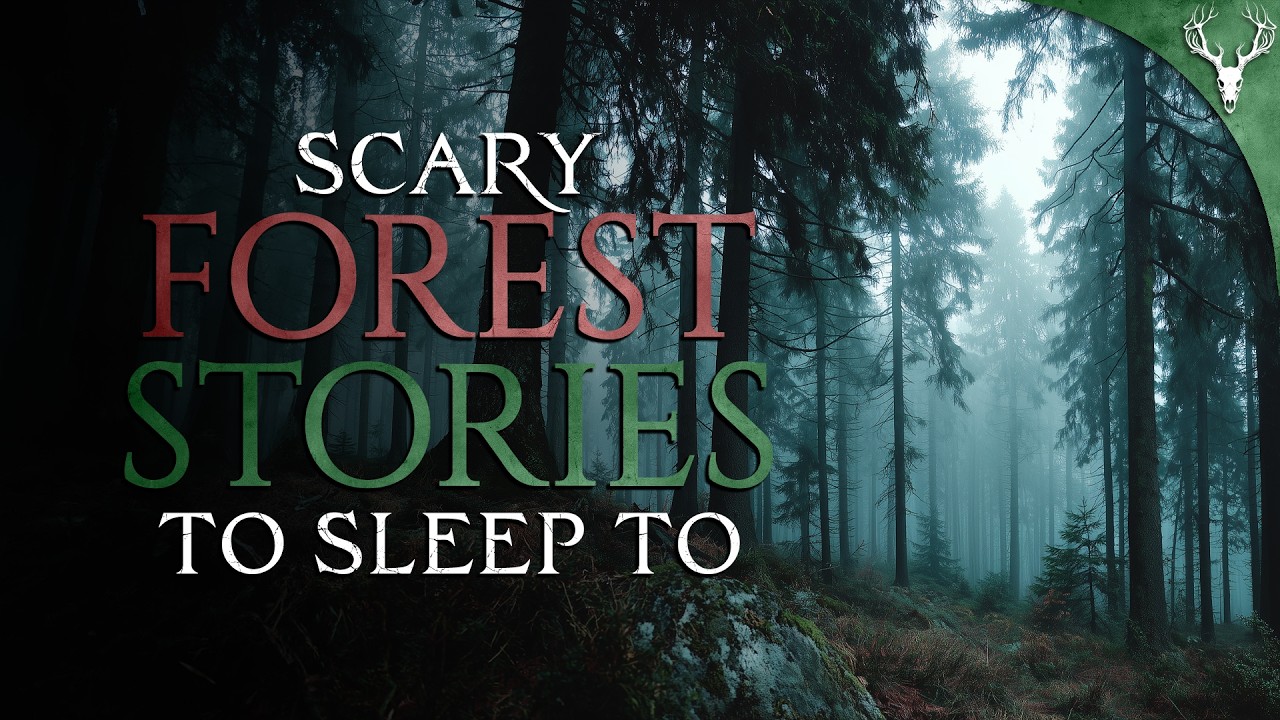 16 True Woods Horror Stories to Chill You π±