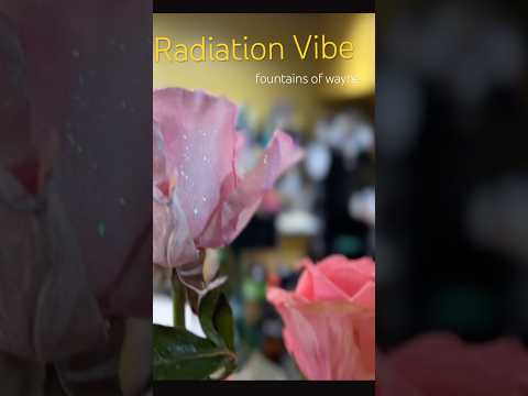 Radiation Vibe ☢️ Fountains of Wayne #newyork #fountainsofwayne #music #radiate  #theatricalgarbage