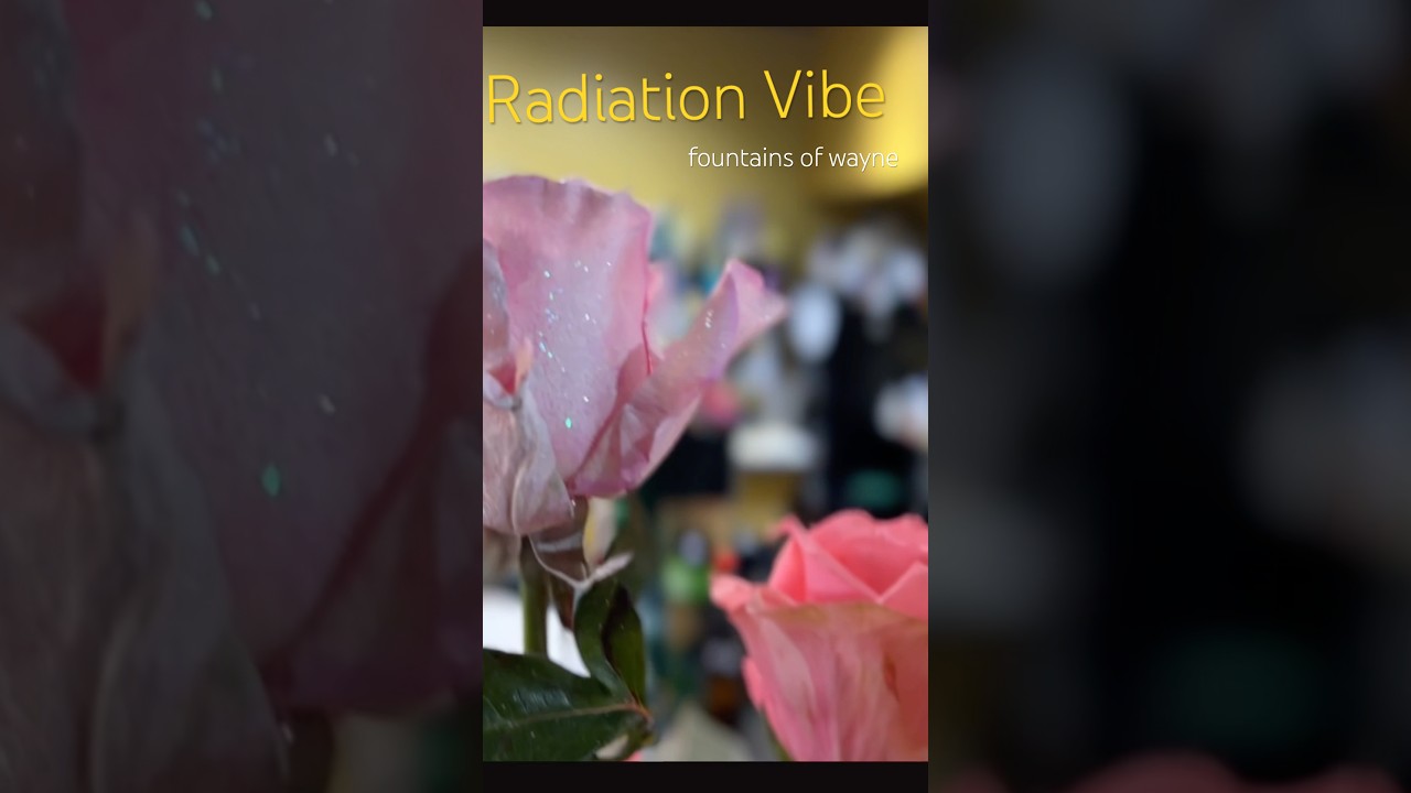 Experience the Electric Energy of Fountains of Wayne's 'Radiation Vibe' in NYC 🎶