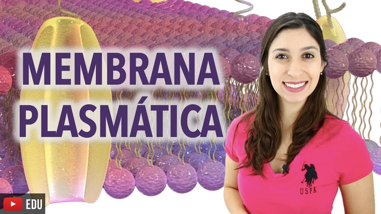 Citologia 2/2: Membrana Plasmática e Funções