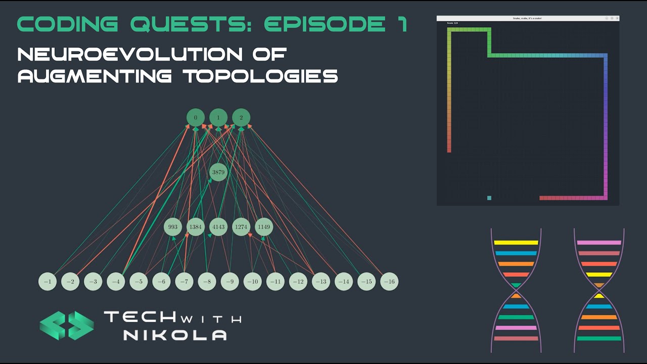 Master Snake AI with NEUROEVOLUTION: Build NEAT from Scratch in C++ 🐍