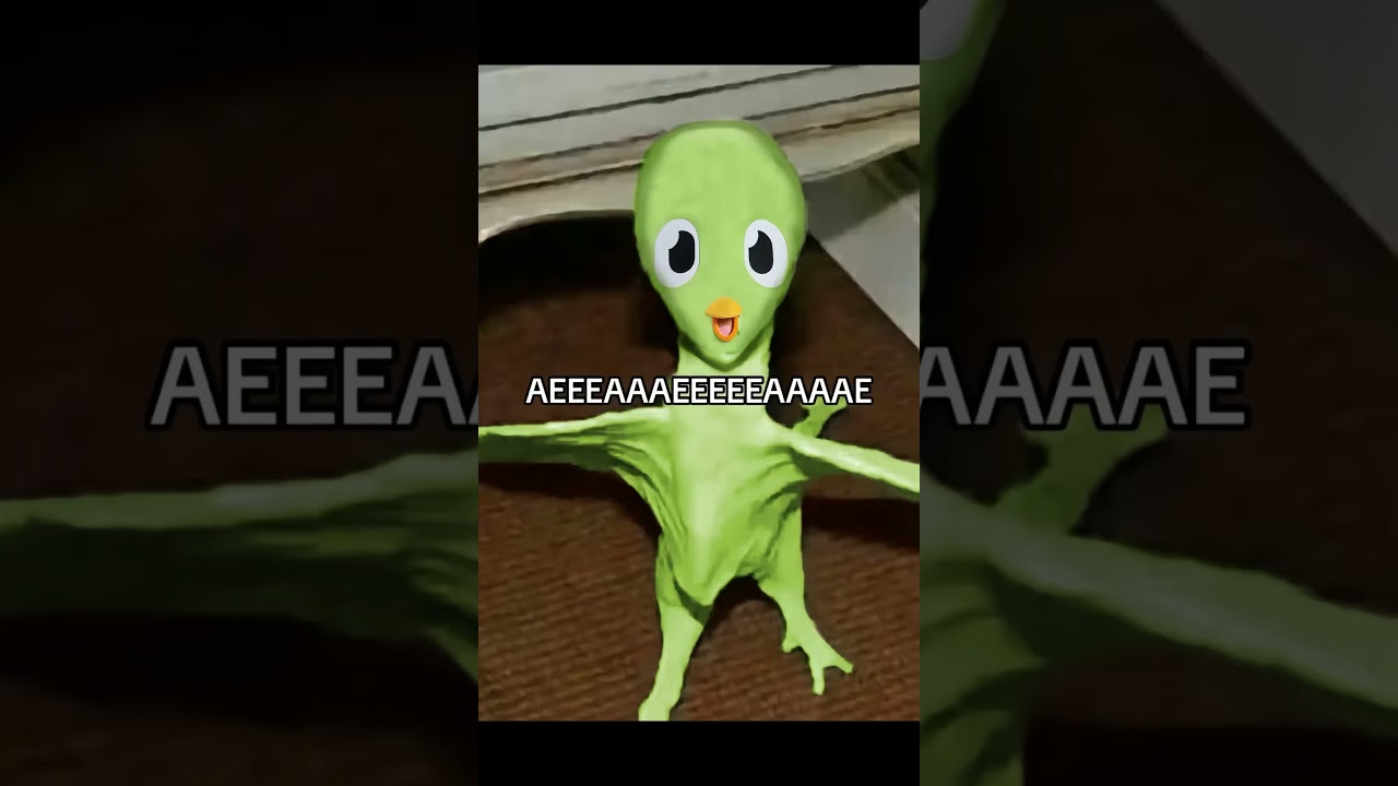 Too Preppy? 😂 #Duolingo #Memes