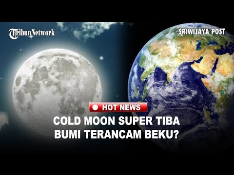 BMKG: Cold Moon Tiba, Gelombang Monster & Suhu Dingin βοΈ
