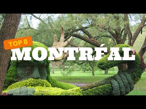 Top 8 des lieux à découvrir à Montréal