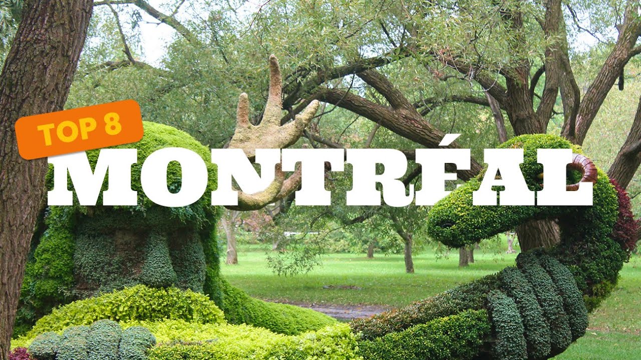 Top 8 Les 8 incontournables à visiter à Montréal