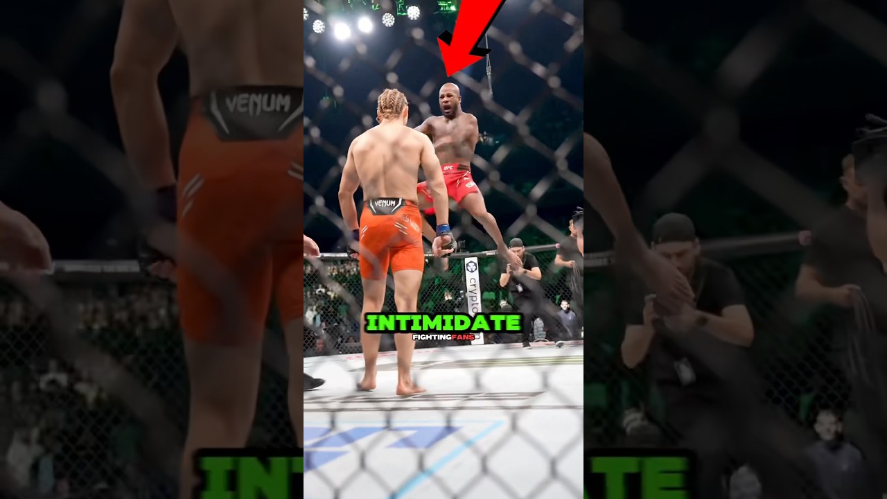 Mess With Paddy The Baddy! 🥊