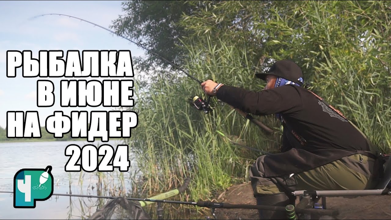 Фидерная рыбалка в июне 2024 🌊