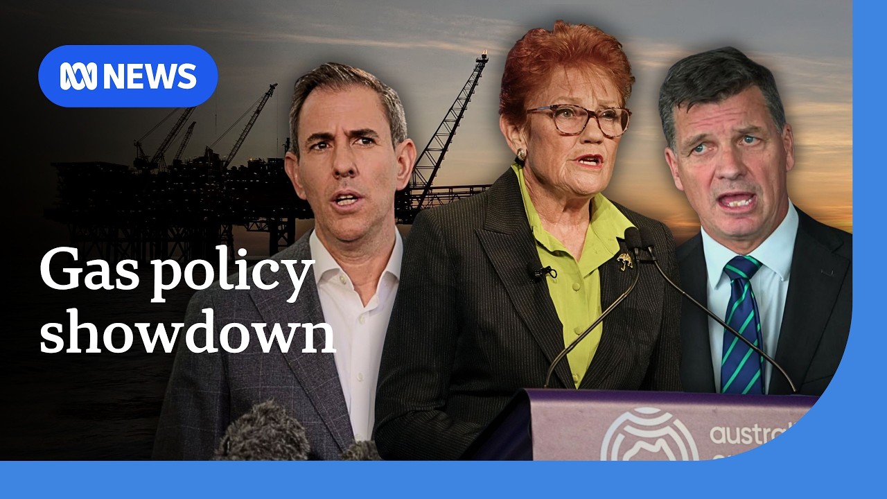 Hanson's One Nation Proposes New Gas Royalties 🛢️