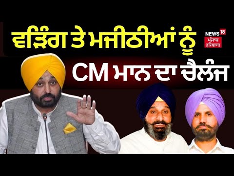 Bhagwant Mann Speech | Warring ਤੇ Majithia ਨੂੰ CM Mann ਦਾ ਚੈਲੰਜ | News18 Punjab live