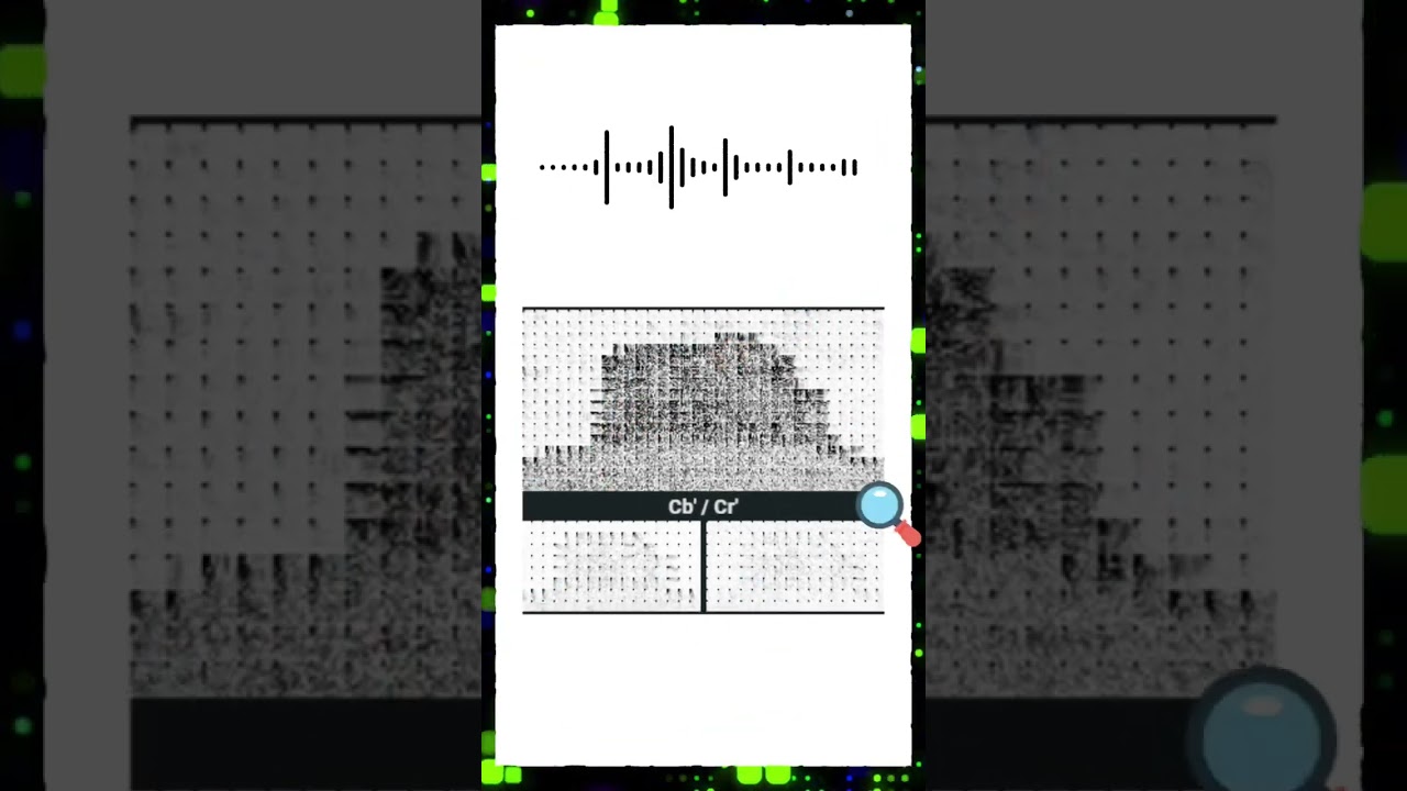 Unlocking the Secrets of the JPEG Compression Algorithm 📸