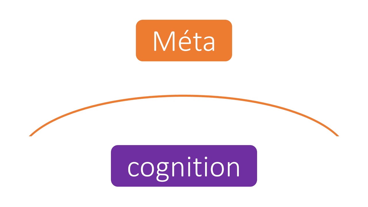 Mot Minute : Métacognition 🧠