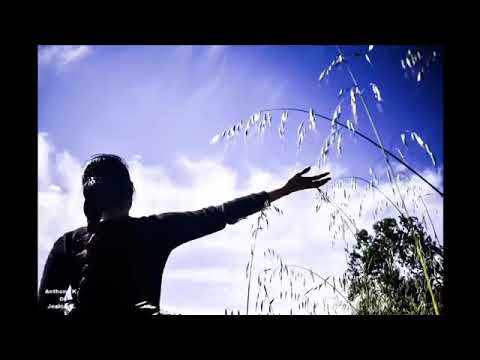 Marco Beltrami & Dennis Smith - The Truth 🎶