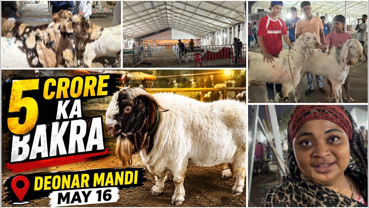 Deonar Bakra Mandi 2026 May 16 | 5 Crore Ka Bakra, Trucks Waiting To Unload