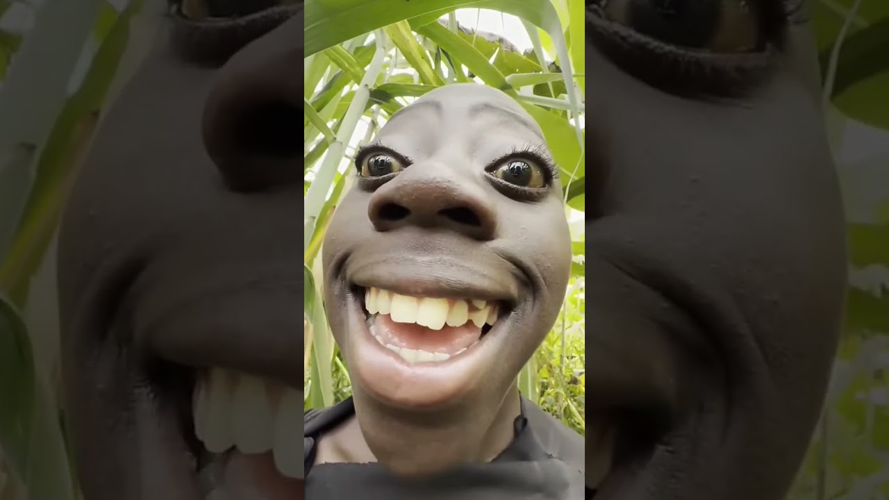 Tenge Tenge - Thank You! 🙏 #TrendingShorts