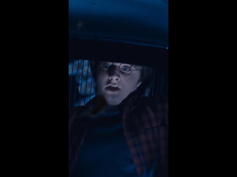 Harry Potter facing no consequences #HarryPotter