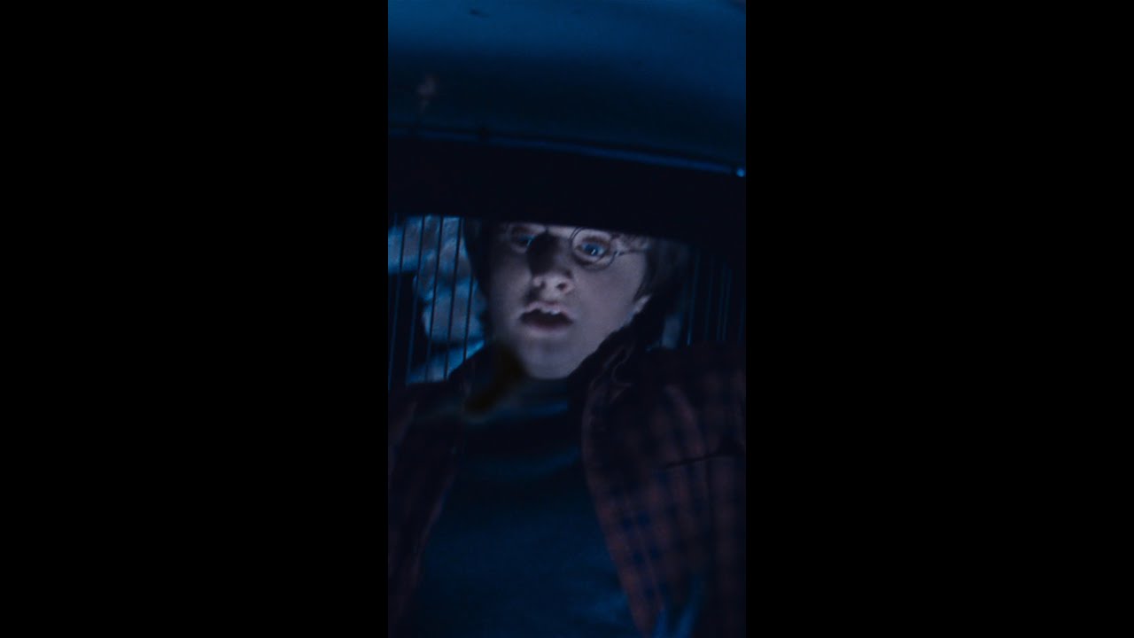 Harry Potter Films Now Available on Blu-ray & Digital