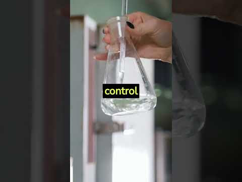 Shadows of Science: The Brookhaven National Laboratory #BrookhavenLab #SecretExperiments