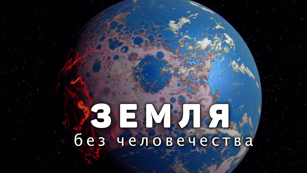 Земля без человека: как бы она выглядела? 🌍