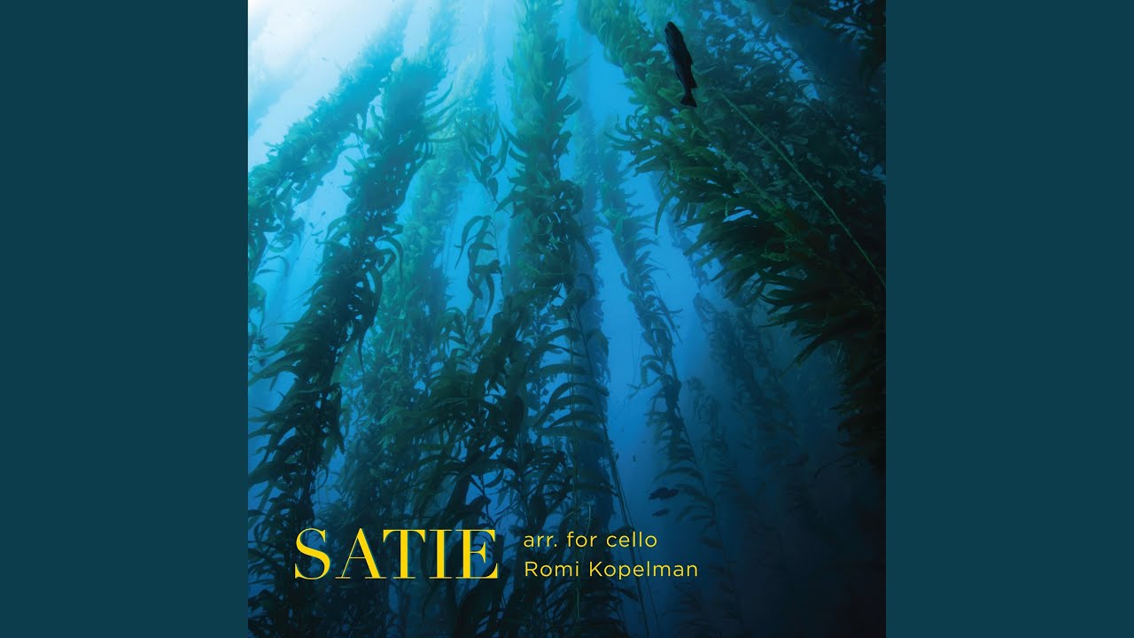 Gymnopédie No. 1 by Romi Kopelman 🎶