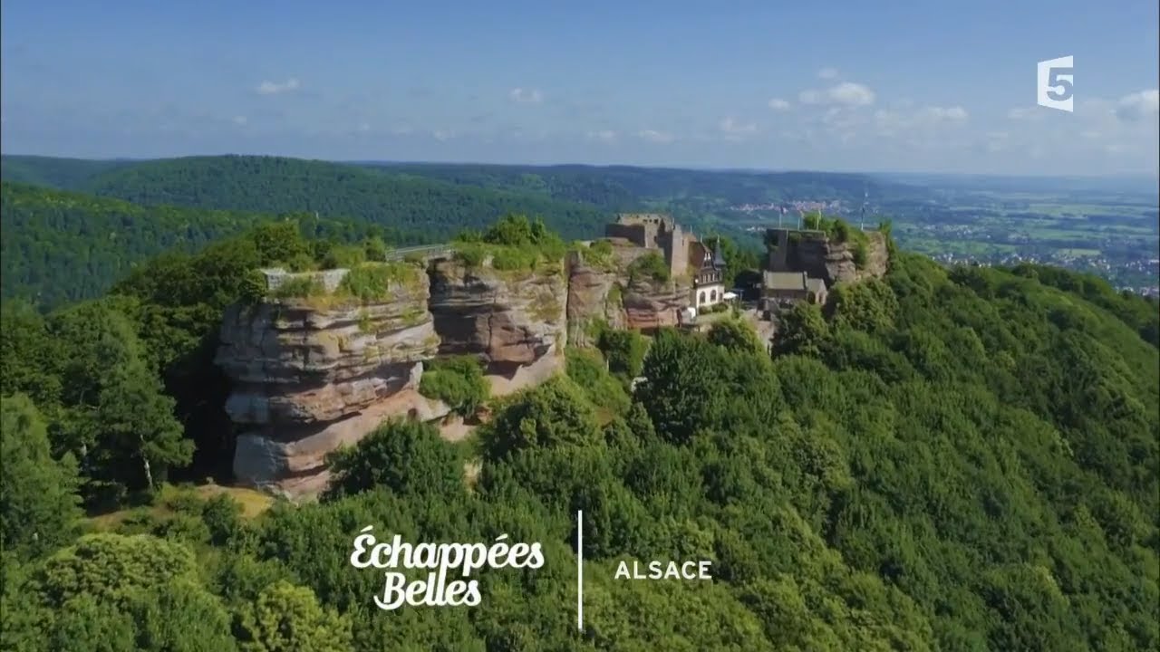 Découverte d'Alsace avec Jérôme Pitorin 🌿